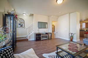 Living room featuring sink and dark wood-type flooring