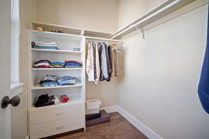 Spacious closet with dark hardwood / wood-style floors