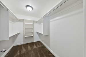 Spacious closet with dark colored carpet