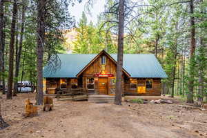 View of log home