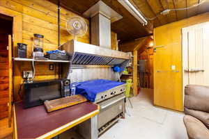 Playroom featuring wood walls, wooden ceiling, and electric panel