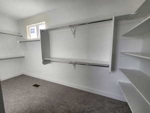 Walk in closet with carpet flooring and visible vents