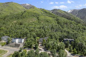 View of mountain background with a heavily wooded area