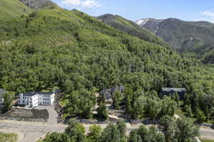 View of mountain background featuring a heavily wooded area