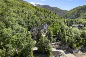 Bird's eye view of a forest and a mountainous background