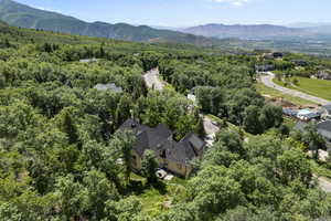 Aerial view of a forest and a mountain backdrop