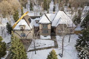 View of snowy aerial view