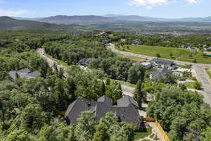 Bird's eye view of mountains