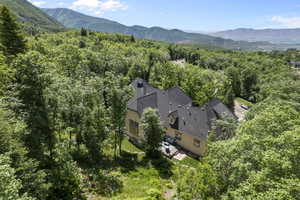 View of subject property featuring a heavily wooded area and a mountainous background