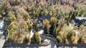 Aerial view of a forest