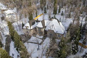 View of snowy aerial view