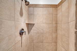 Room details with tiled shower