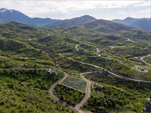 Bird's eye view of a mountainous background