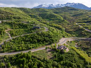 Aerial overview of property's location with mountains and a forest
