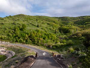 View of mountain background with a heavily wooded area