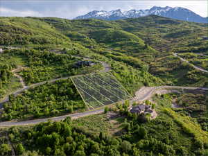 View of property location with a mountain backdrop and a heavily wooded area