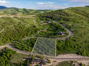 Drone / aerial view of a forest and mountains
