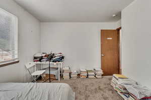 Bedroom featuring carpet flooring