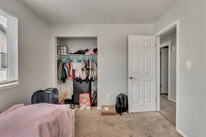 Bedroom featuring multiple windows, light colored carpet, and a closet