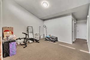 Workout area featuring carpet flooring and vaulted ceiling