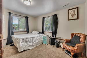 Bedroom with light carpet