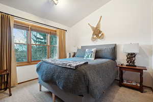 Carpeted bedroom with lofted ceiling