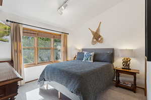 Carpeted bedroom with track lighting and vaulted ceiling