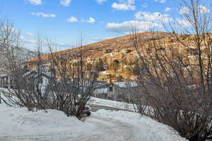 Property view of mountains