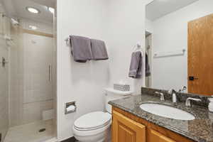 Bathroom featuring an enclosed shower, vanity, and toilet