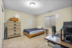 Bedroom featuring light carpet and a textured ceiling