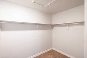 Spacious closet featuring carpet floors