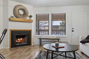 Living room with hardwood / wood-style flooring and a baseboard radiator