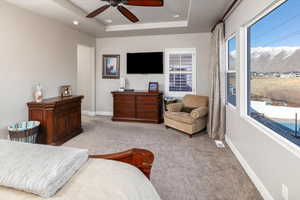 Living room featuring a raised ceiling, light carpet, and ceiling fan