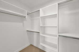 Spacious closet featuring carpet floors