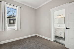 Carpeted spare room featuring sink and crown molding