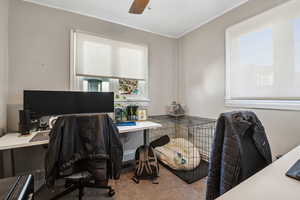 Carpeted home office with crown molding and ceiling fan