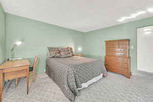 Carpeted bedroom featuring a textured ceiling