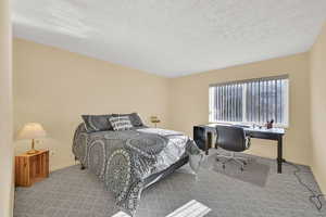 Carpeted bedroom featuring a textured ceiling