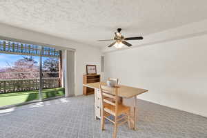 Office space featuring a healthy amount of sunlight, a textured ceiling, and carpet