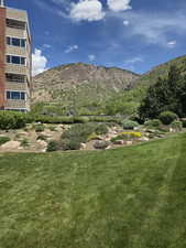 View of mountain background