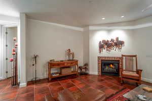 Living area with a fireplace