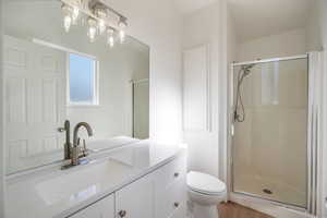 Bathroom with vanity, hardwood / wood-style flooring, toilet, and walk in shower