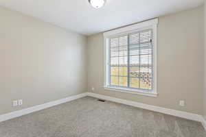 Spare room with light colored carpet and a wealth of natural light