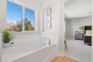 Bathroom with wood-type flooring, a mountain view, and a washtub