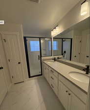 Bathroom featuring vanity, plenty of natural light, and a shower with door