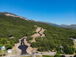 Bird's eye view of a heavily wooded area and a mountain backdrop