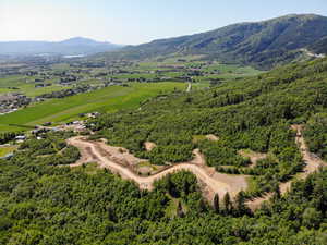 Drone / aerial view of a mountainous background and a heavily wooded area