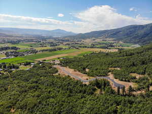 Bird's eye view of a heavily wooded area and a mountain backdrop