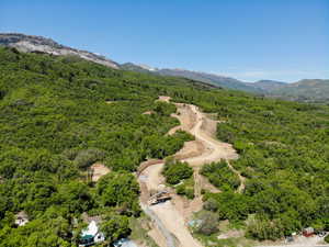 Drone / aerial view of a heavily wooded area and mountains