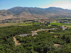 View of mountain background with a heavily wooded area